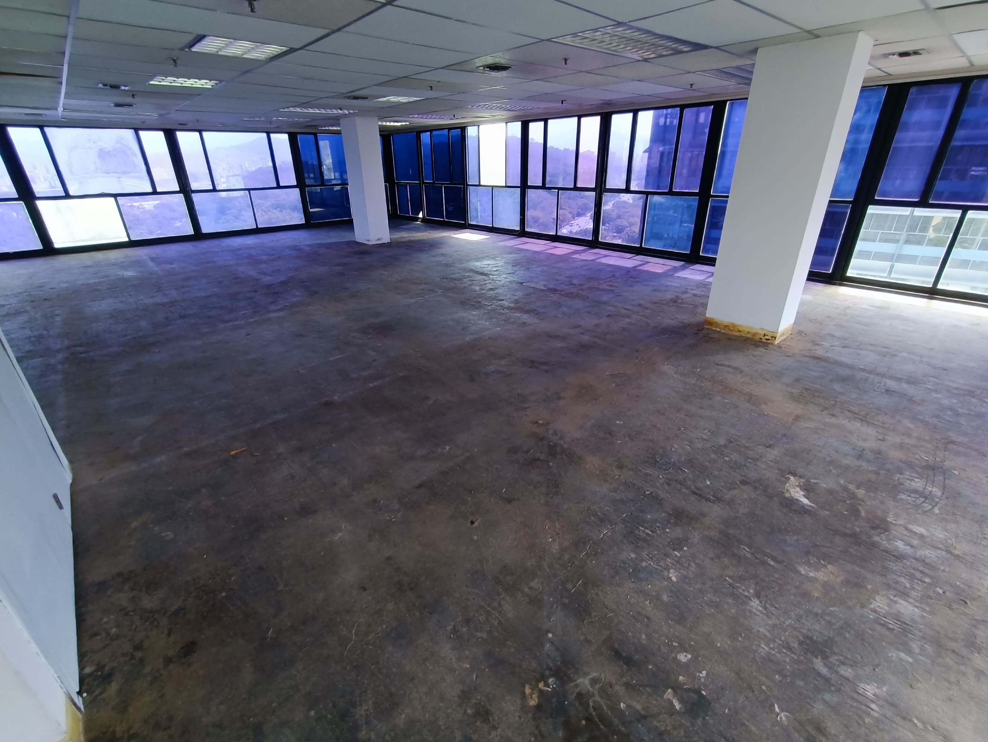 Área amplia